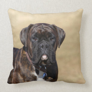 Brindle Boxer Dog Standing Cushion