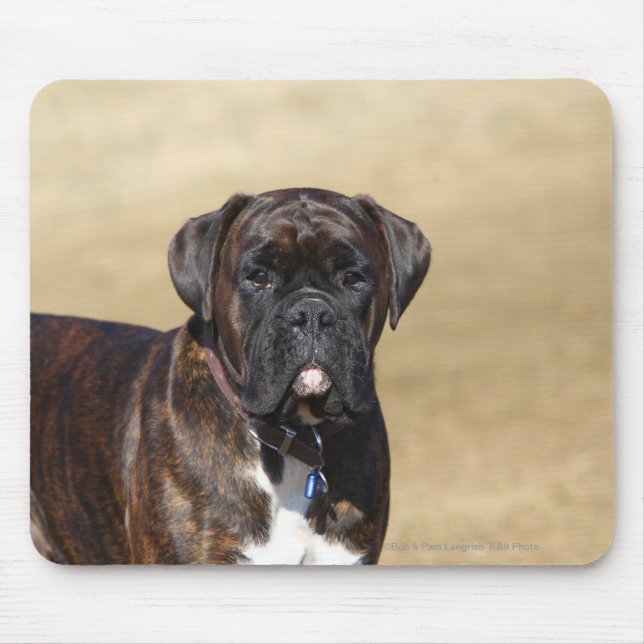 Brindle Boxer Dog Standing Mouse Mat (Front)