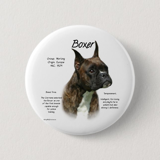 Brindle Boxer History  6 Cm Round Badge (Front)
