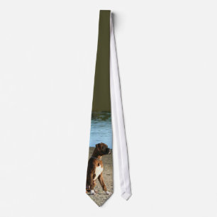 Brindle boxer puppy tie