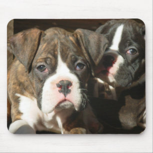 Brindle boxer pups mousepad
