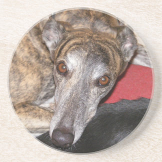 Brindle greyhound coaster