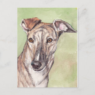 Brindle Greyhound Dog Art Postcards