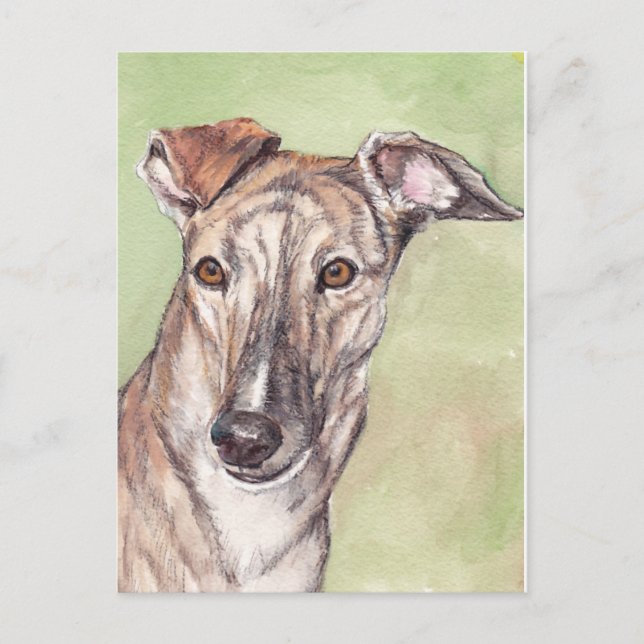 Brindle Greyhound Dog Art Postcards (Front)