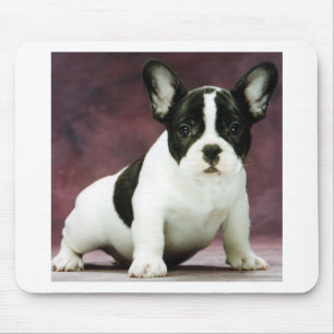 Brindle_pied_french bulldog puppy mouse mat