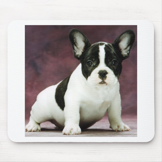 Brindle_pied_french bulldog puppy mouse mat (Front)