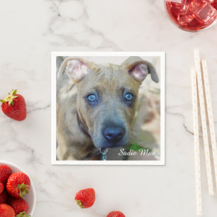 Brindle Pit Bull Puppy by Shirley Taylor Napkin