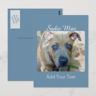 Brindle Pit Bull Puppy by Shirley Taylor Postcard