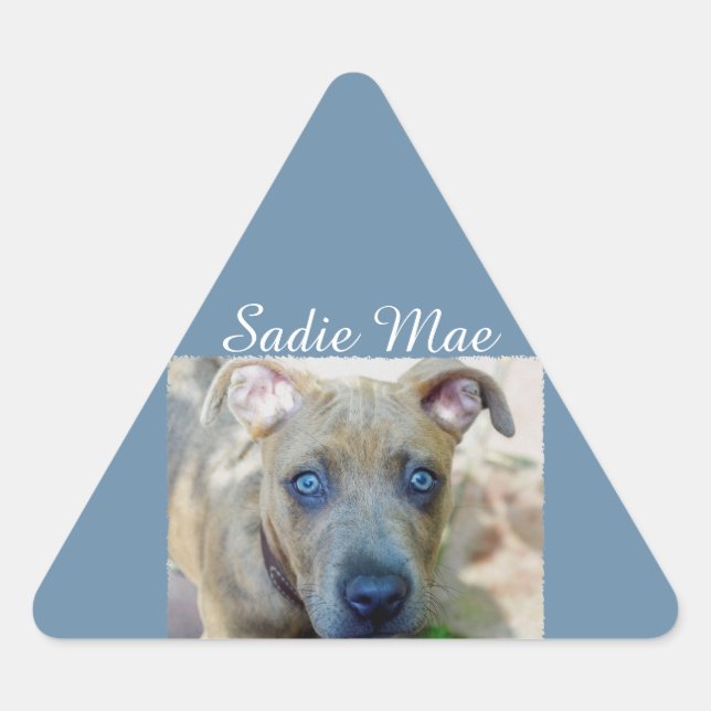 Brindle Pit Bull Puppy by Shirley Taylor Triangle Sticker (Front)