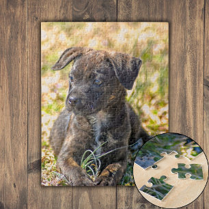 Brindle Puppy and Wild Onion Jigsaw Puzzle