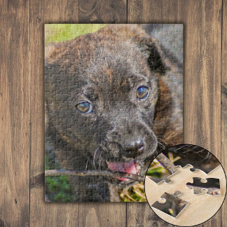 Brindle Puppy Chewing on Twig Jigsaw Puzzle