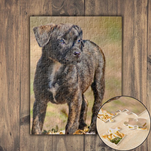 Brindle Puppy Profile Portrait Jigsaw Puzzle (Brindle Puppy Profile Portrait Jigsaw Puzzle)