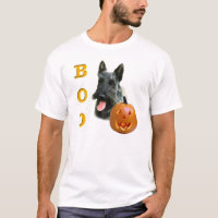 Brindle Scottish Terrier Boo