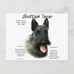 Brindle Scottish Terrier History  Postcard