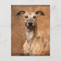 Brindle Whippet Dog