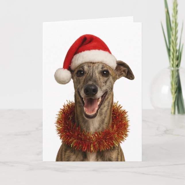 Brindle whippet in a Santa hat Christmas card (Front)