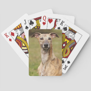 Brindle Whippet Playing Cards