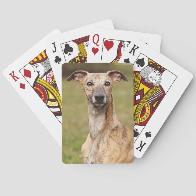 Brindle Whippet Playing Cards (Back)