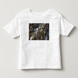 Brine falls from volcanic rock drop off 2 toddler T-Shirt