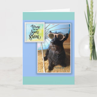 Bring on the Sunshine Card
