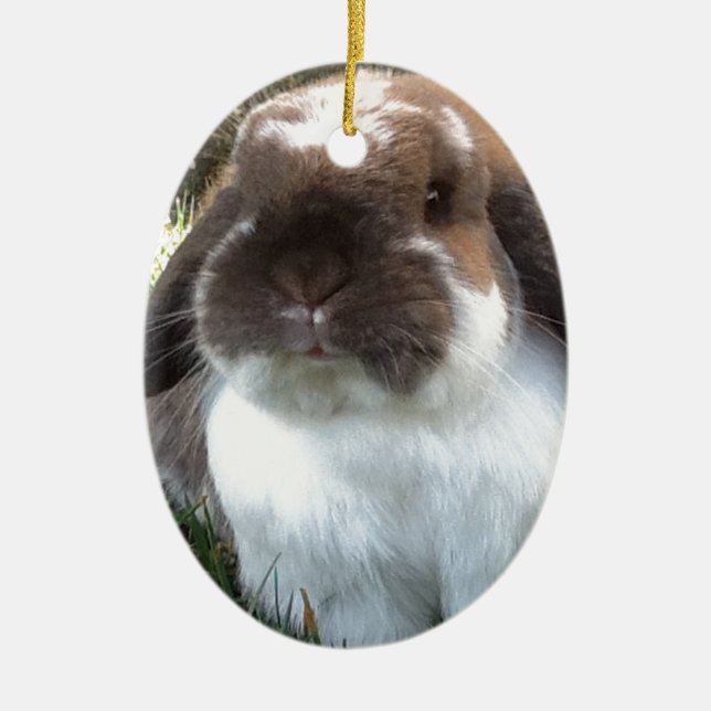 Bring some furriness into your life! ceramic tree decoration (Front)