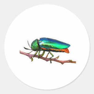 "Bring the freshness of the tropical mountains to Classic Round Sticker