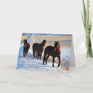 Bringing Christmas wishes Holiday Card