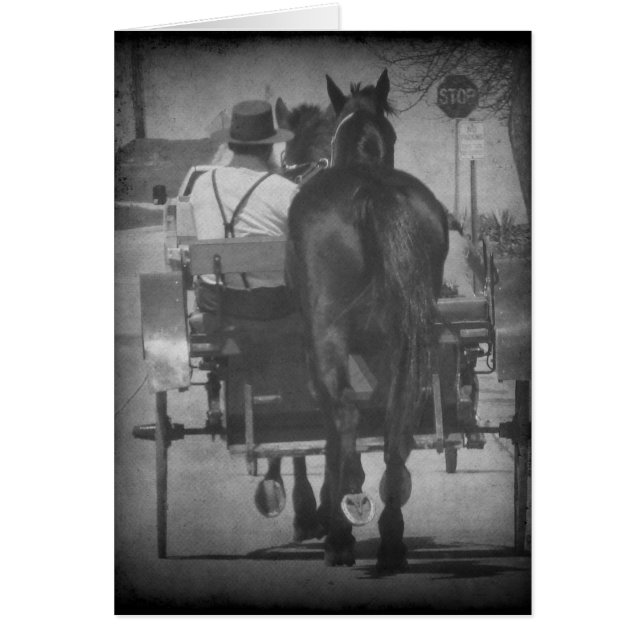 Bringing Home a Horse Behind the Buggy (Front)