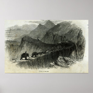 Bringing up the guns poster