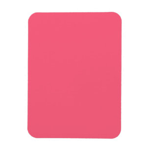 Brink pink (solid colour) magnet