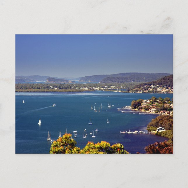 brisbane water postcard (Front)