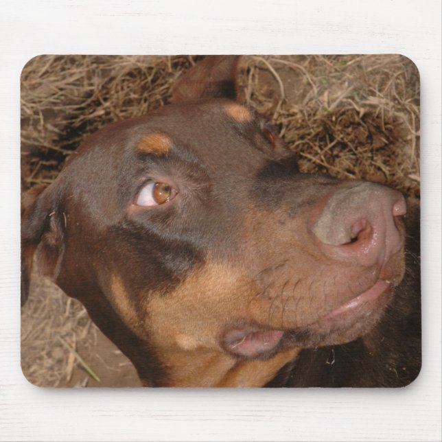 Brisbee Lee Mouse Mat (Front)