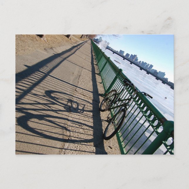 Brisk Shadows Postcard (Front)