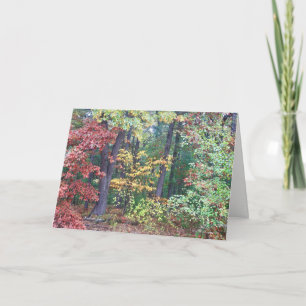 Brister's Hill, Concord MA Card