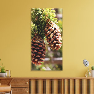 Bristle Cone Pine Canvas Print