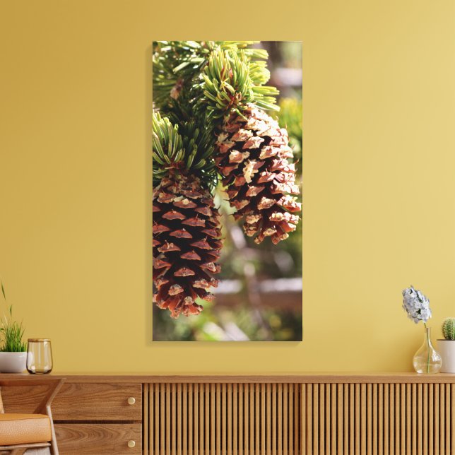 Bristle Cone Pine Canvas Print (Insitu(LivingRoom))