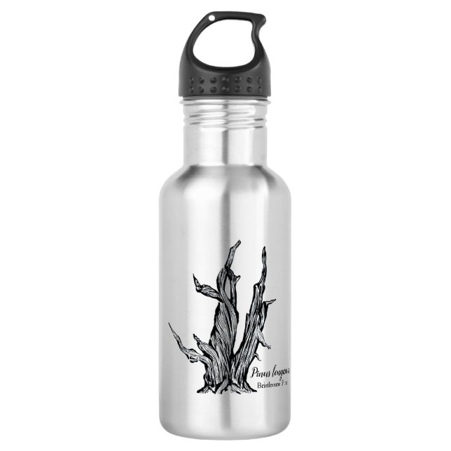 Bristlecone Pine 532 Ml Water Bottle (Front)