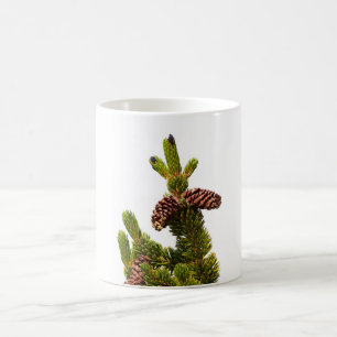 Bristlecone Pine Coffee Mug