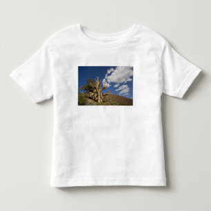 Bristlecone pine in Ancient Bristlecone Forest, Toddler T-Shirt