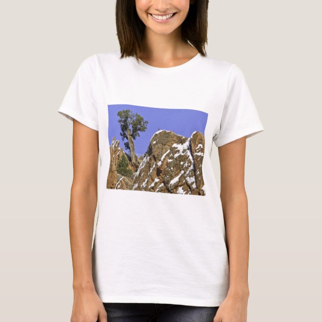 Bristlecone Pine T-Shirt (Front)