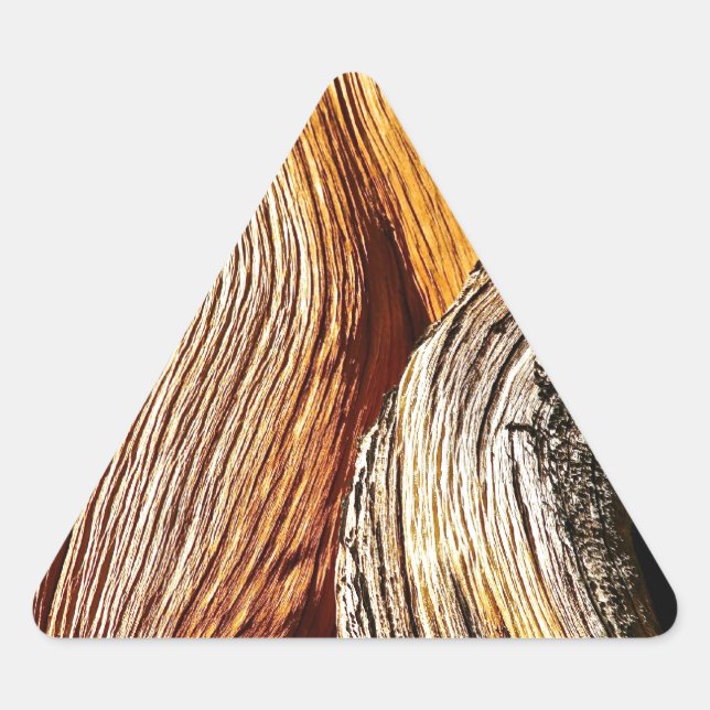 BRISTLECONE PINE TREE BARK DETAIL TRIANGLE STICKER (Front)