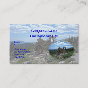 Bristlecone Pine Tree Business Card