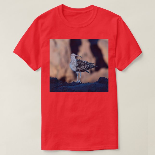 Bristlethighed Curlew T-Shirt (Design Front)