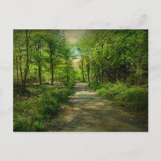Bristol Avon Forest in Spring. Postcard (Front)
