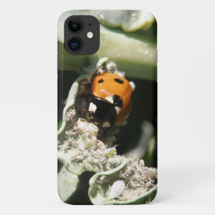 British 7 Spot Ladybug iPhone 3 Case
