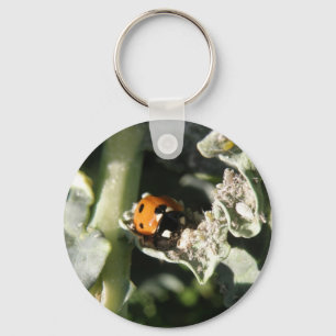 British 7 Spot Ladybug Keychain