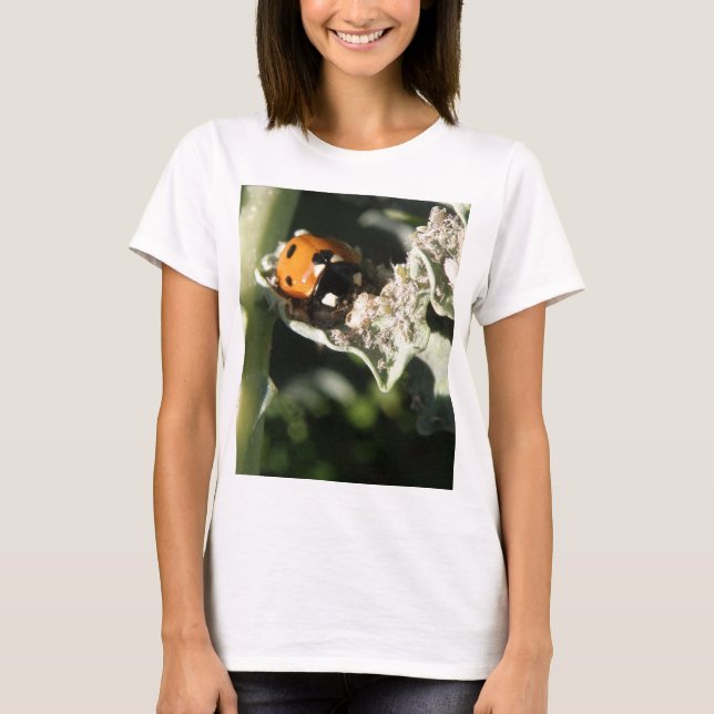 British 7 Spot Ladybug Ladies T Shirt (Front)