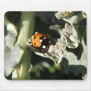 British 7 Spot Ladybug Mousepad