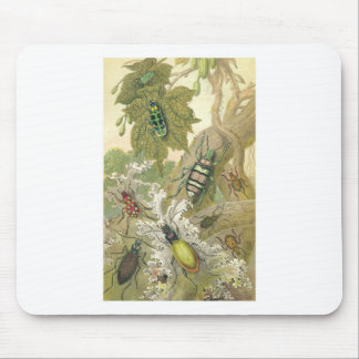 British Beetles Mouse Mat