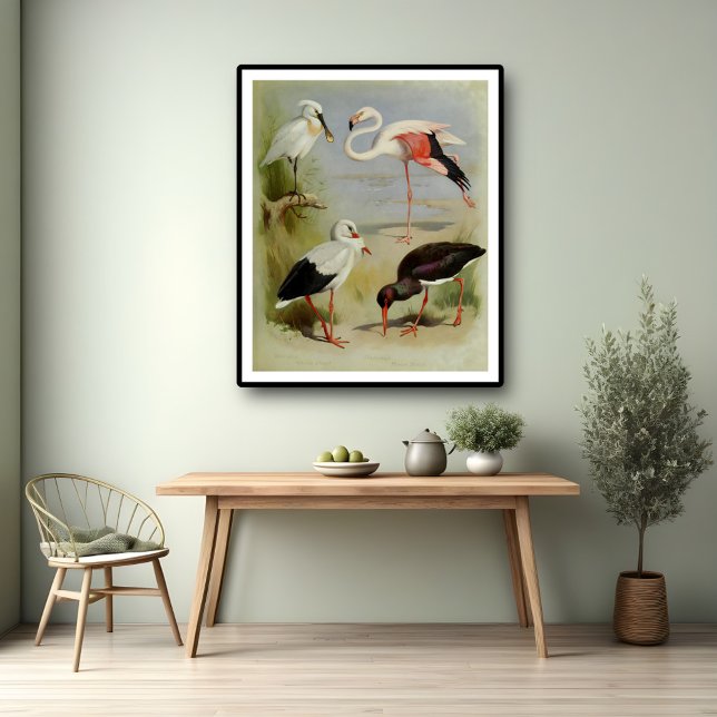 British Birds, Art Illustrations Poster (Creator Uploaded)